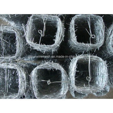 Barbed Wire Bwg12*Bwg14 Hot Sale with Certification